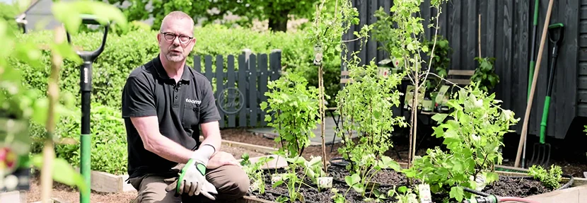 Person kniet vor Hochbeet mit jungen Pflanzen.